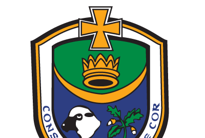 Roscommon GAA Are Hiring for the Role of Performance GDA