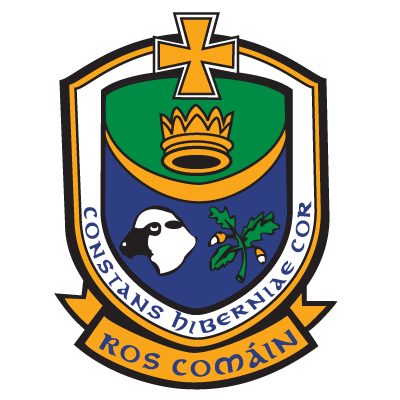 Roscommon GAA Are Hiring for the Role of Performance GDA